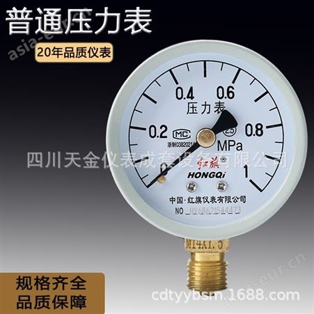 红旗Y60普通压力表径向轴向锅炉压力表测水压油压0~1.6mpa仪表